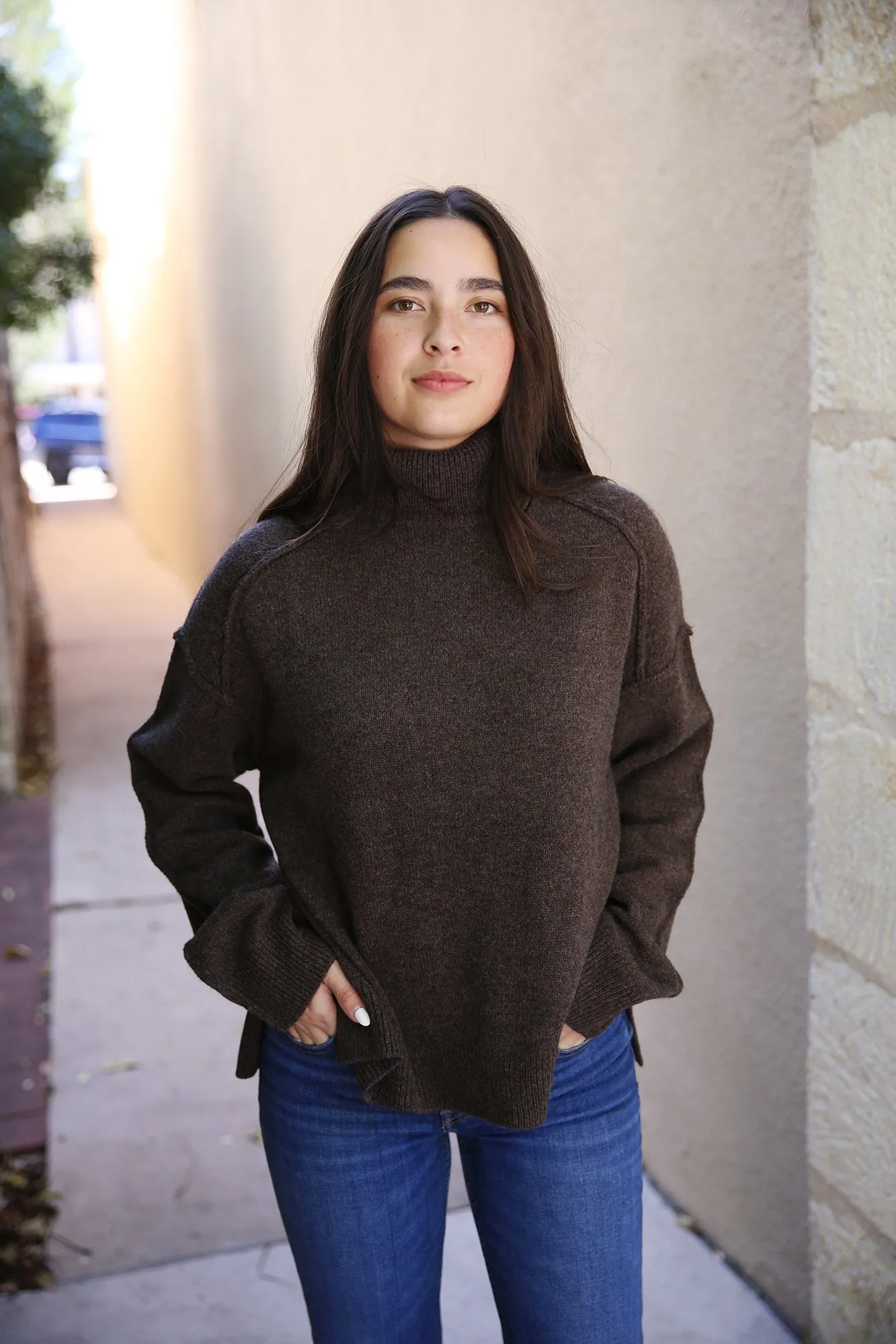 Melian Jordan Merino Wool/Cashmere Turtleneck Brown