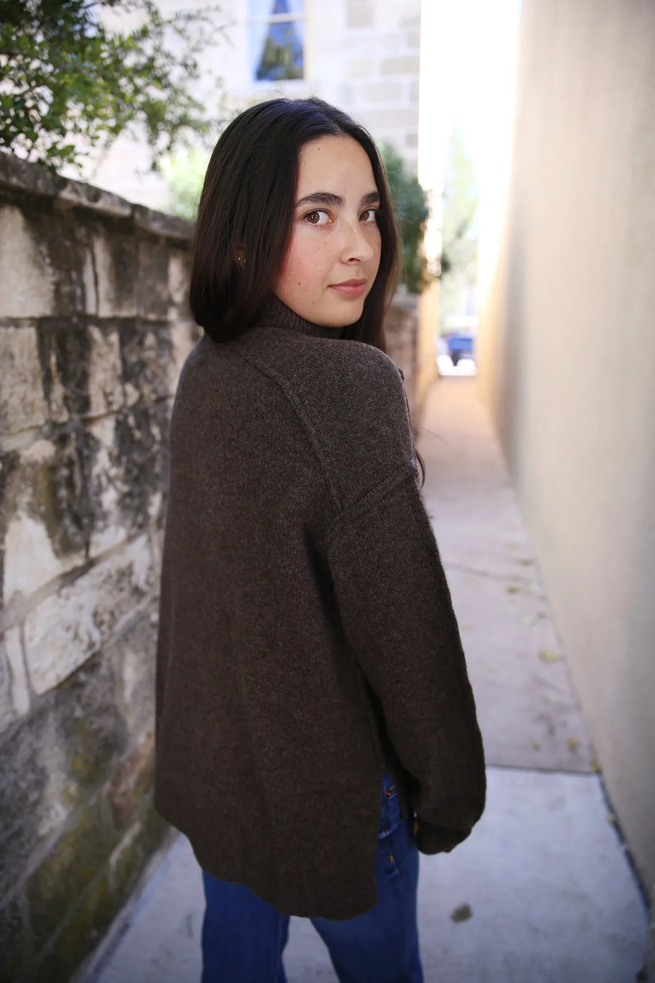 Melian Jordan Merino Wool/Cashmere Turtleneck Brown