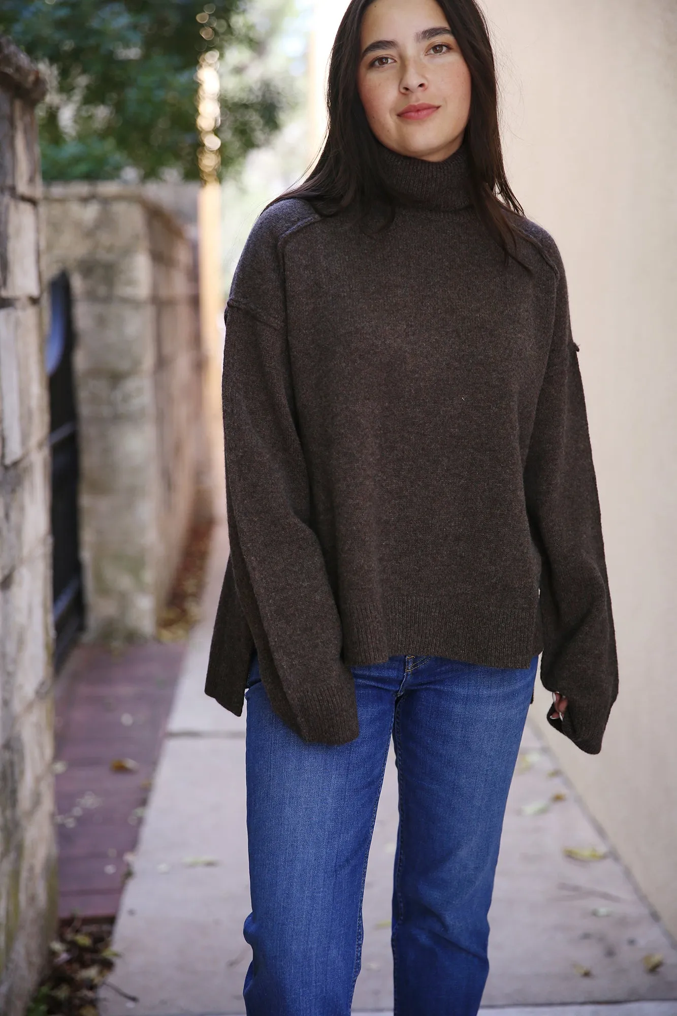 Melian Jordan Merino Wool/Cashmere Turtleneck Brown